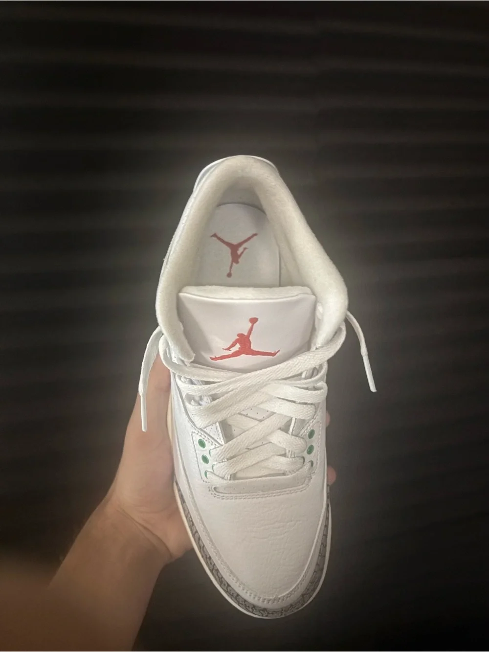 Jordan Retro 3 White Green Elephant Print Sneakers